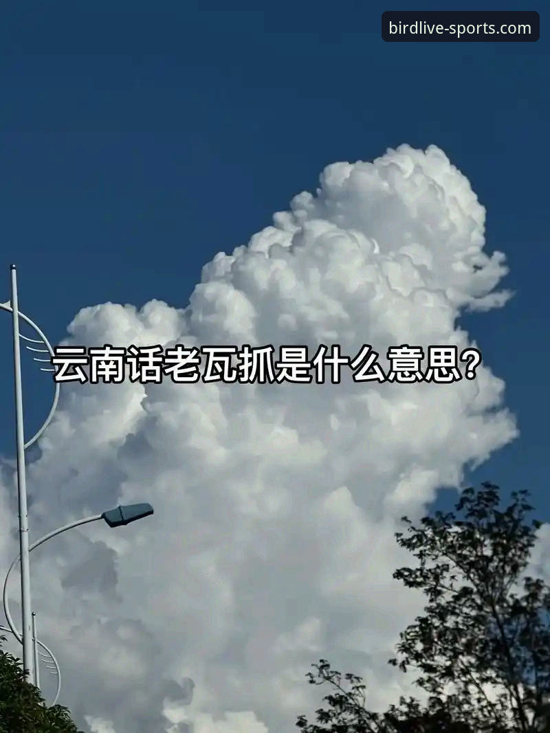 小鸟体育平台最新版 掌握小鸟体育平台最新版高清直播的实用技巧与必备知识